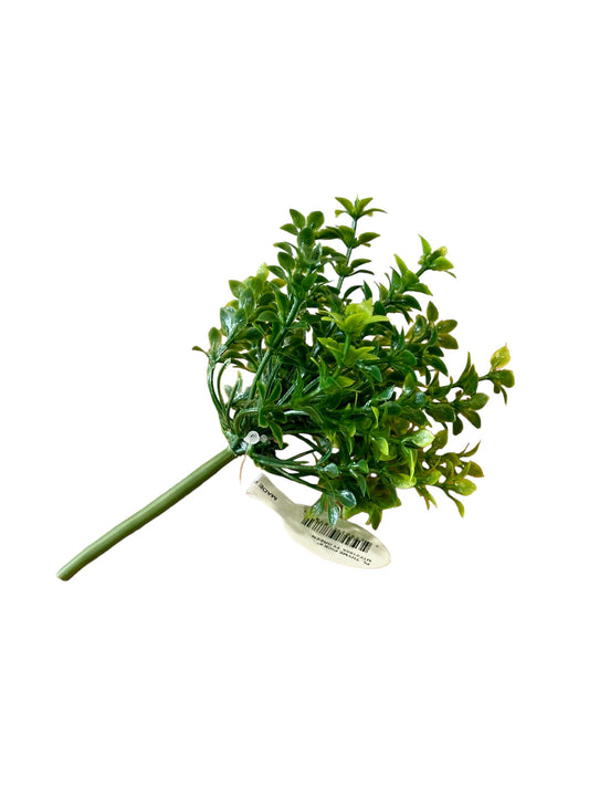 CMC934 Thyme pick