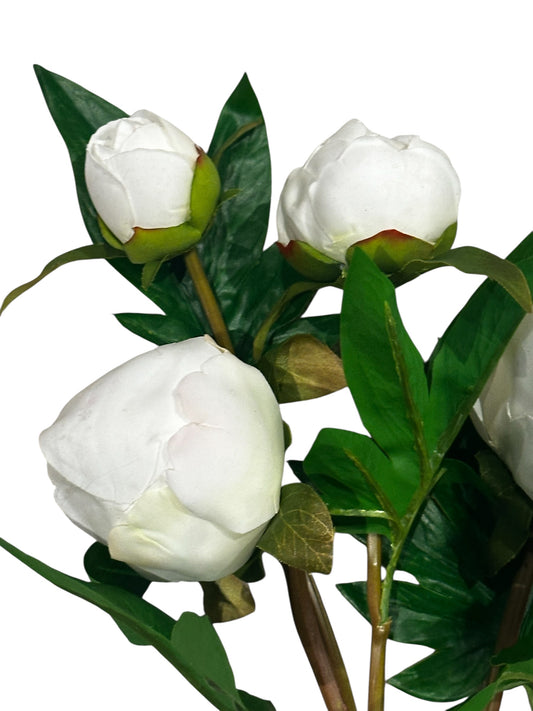 FL2624wh- peony / white