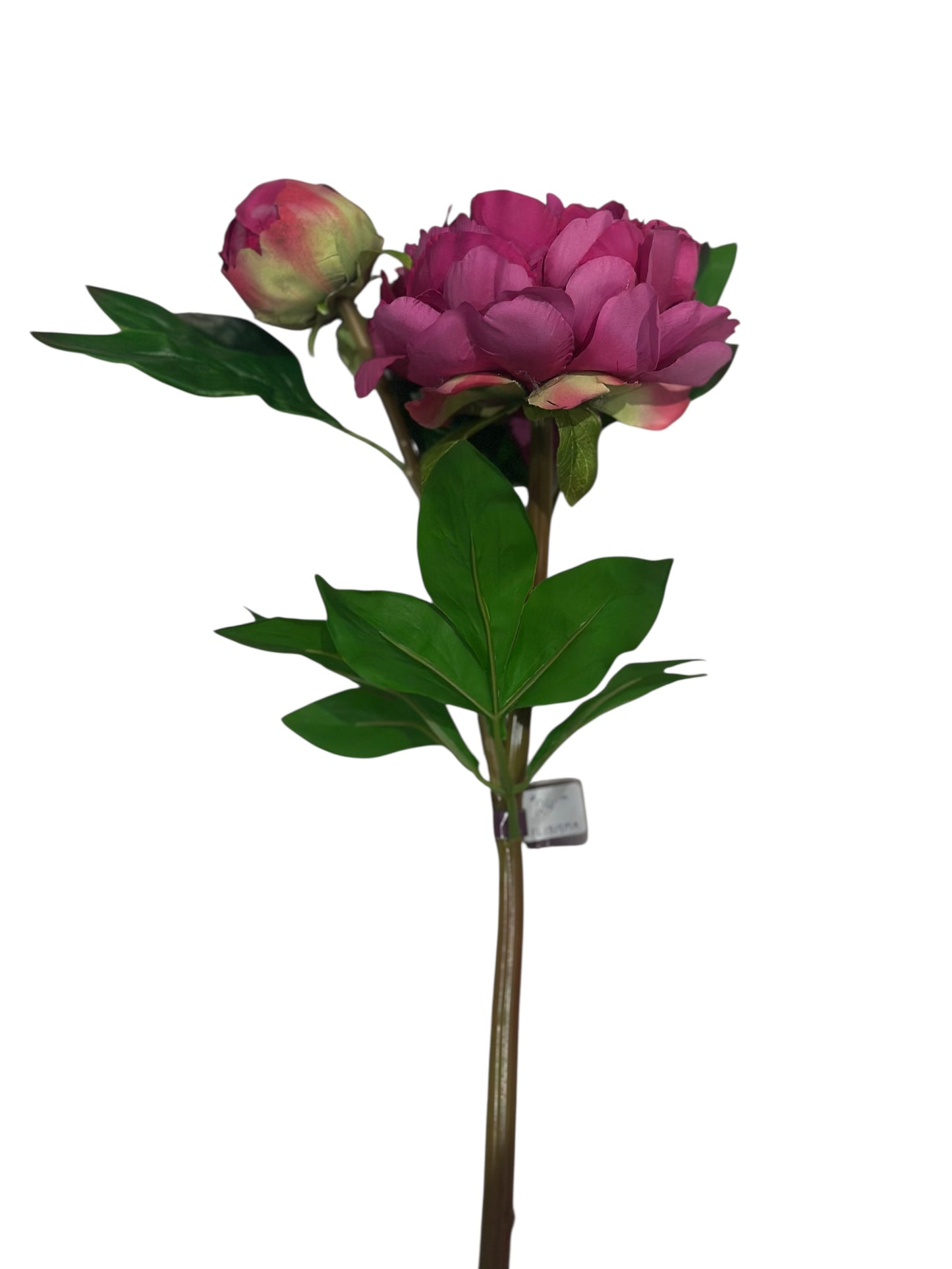 FL1819MA - peony / deep pink