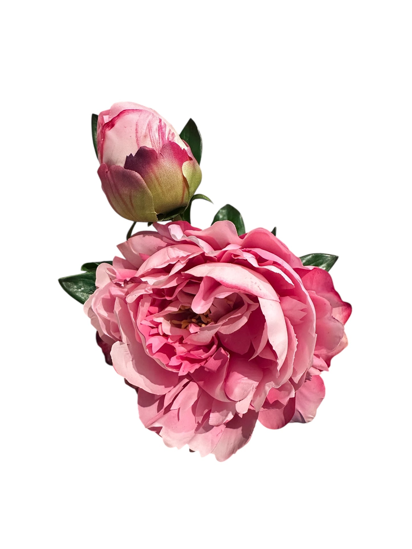 FL1819HP - peony / pink