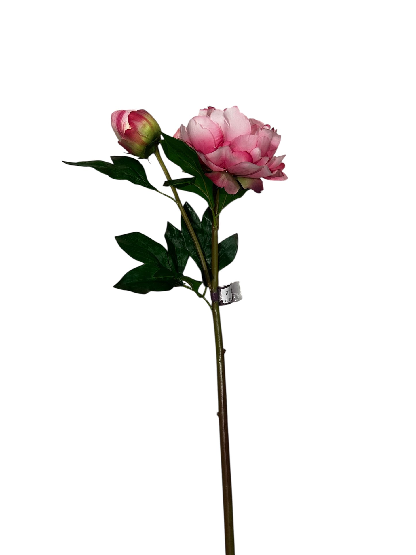 FL1819HP - peony / pink
