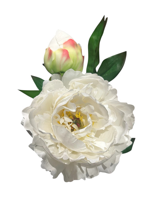 FL1819wh- peony / white