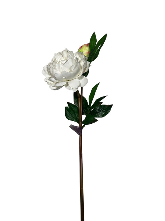 FL1819wh- peony / white