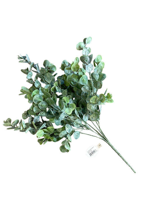 CMC934GR - Eucalyptus bush