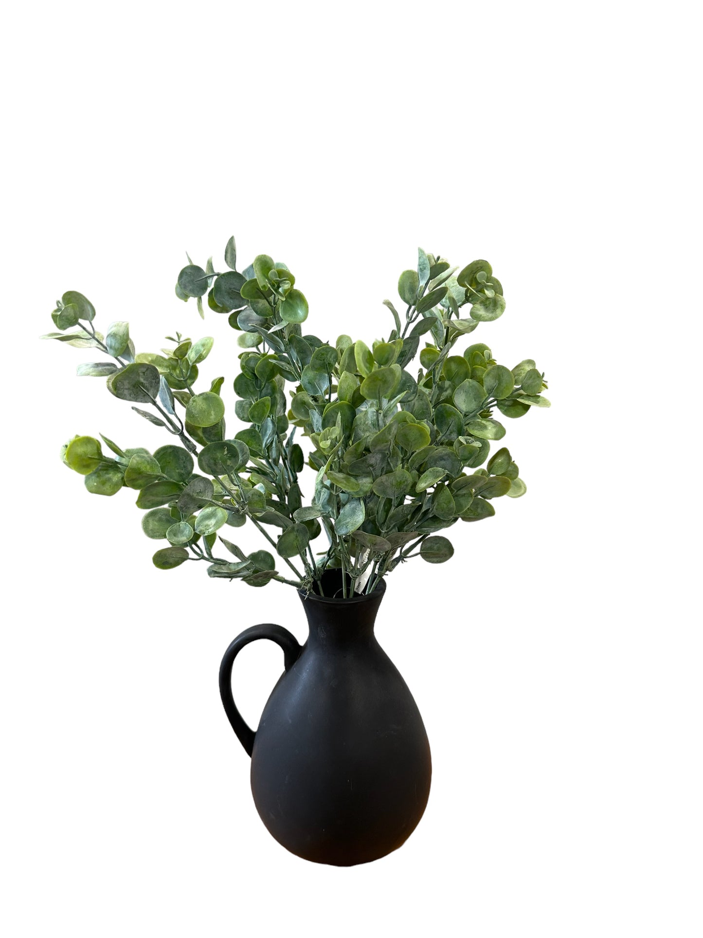 CMC934GR - Eucalyptus bush