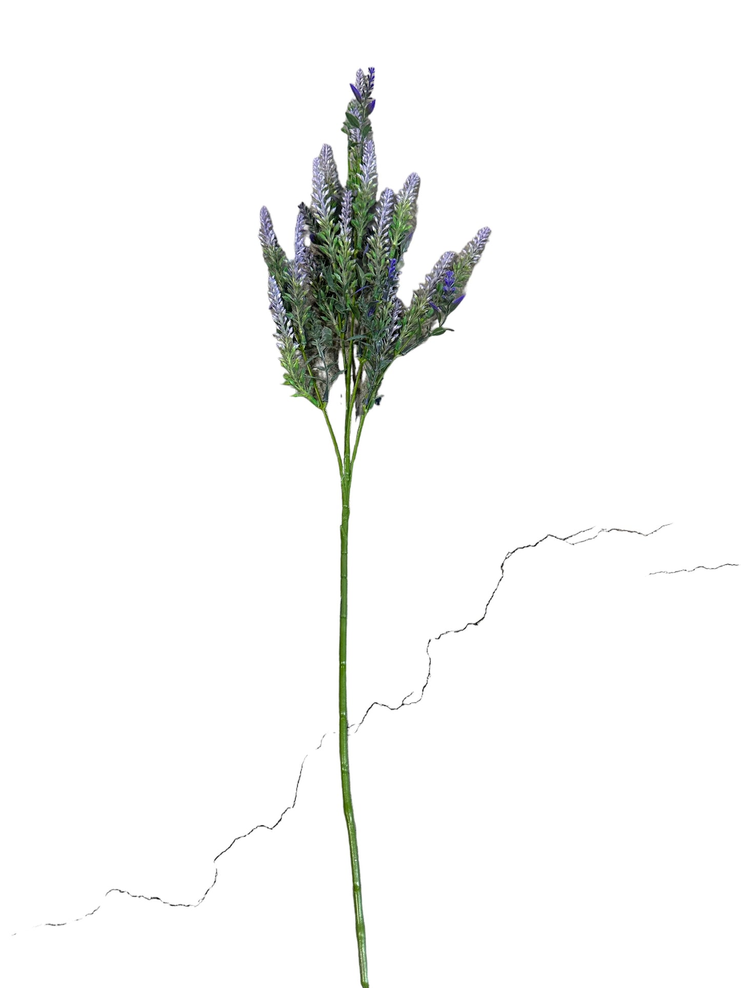CMC322PU - Lavender Spray