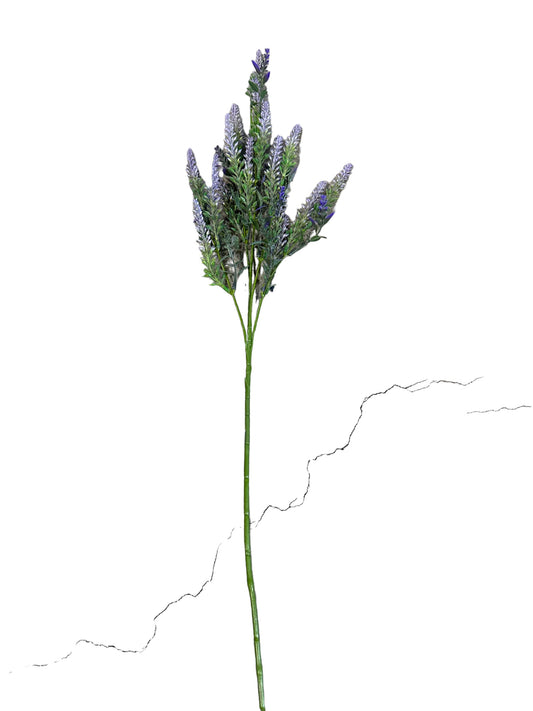 CMC322PU - Lavender Spray