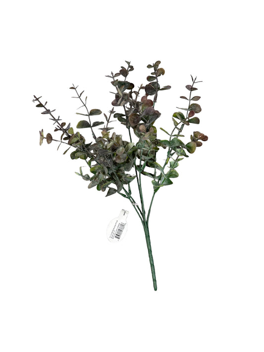 CMC959 - Frosted Eucalyptus Bush
