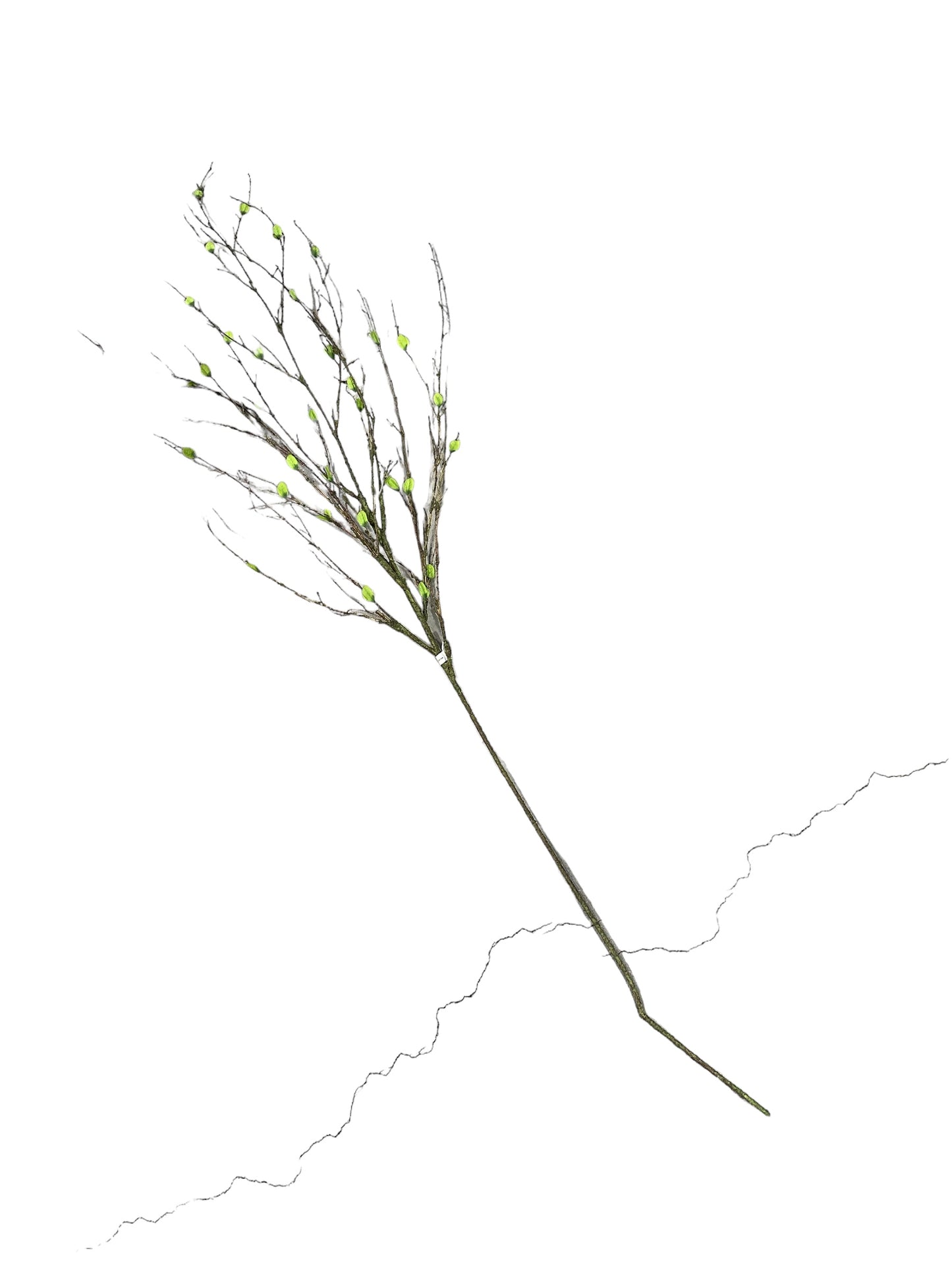 CMC839 -Budding Bamboo Spray