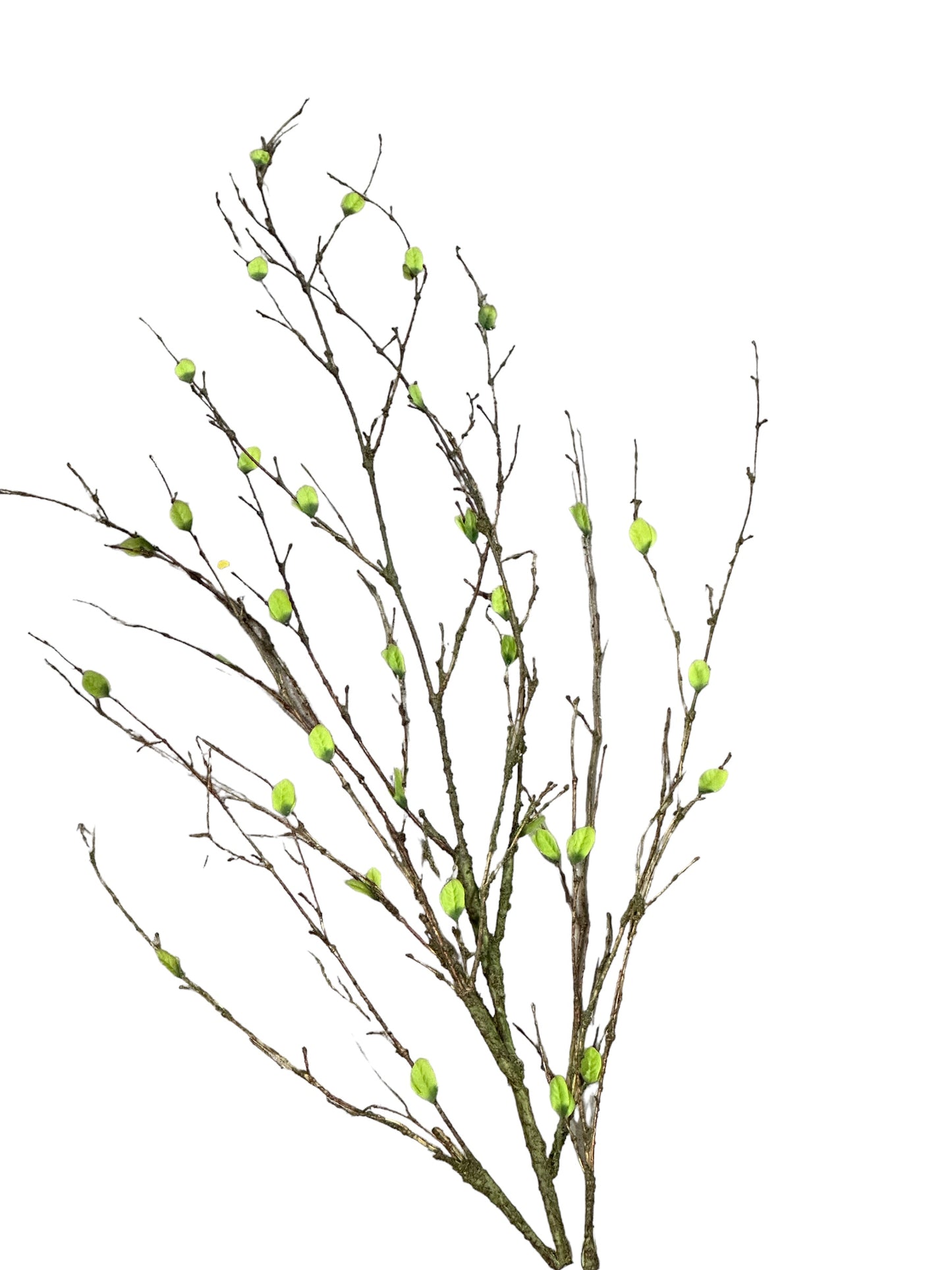 CMC839 -Budding Bamboo Spray
