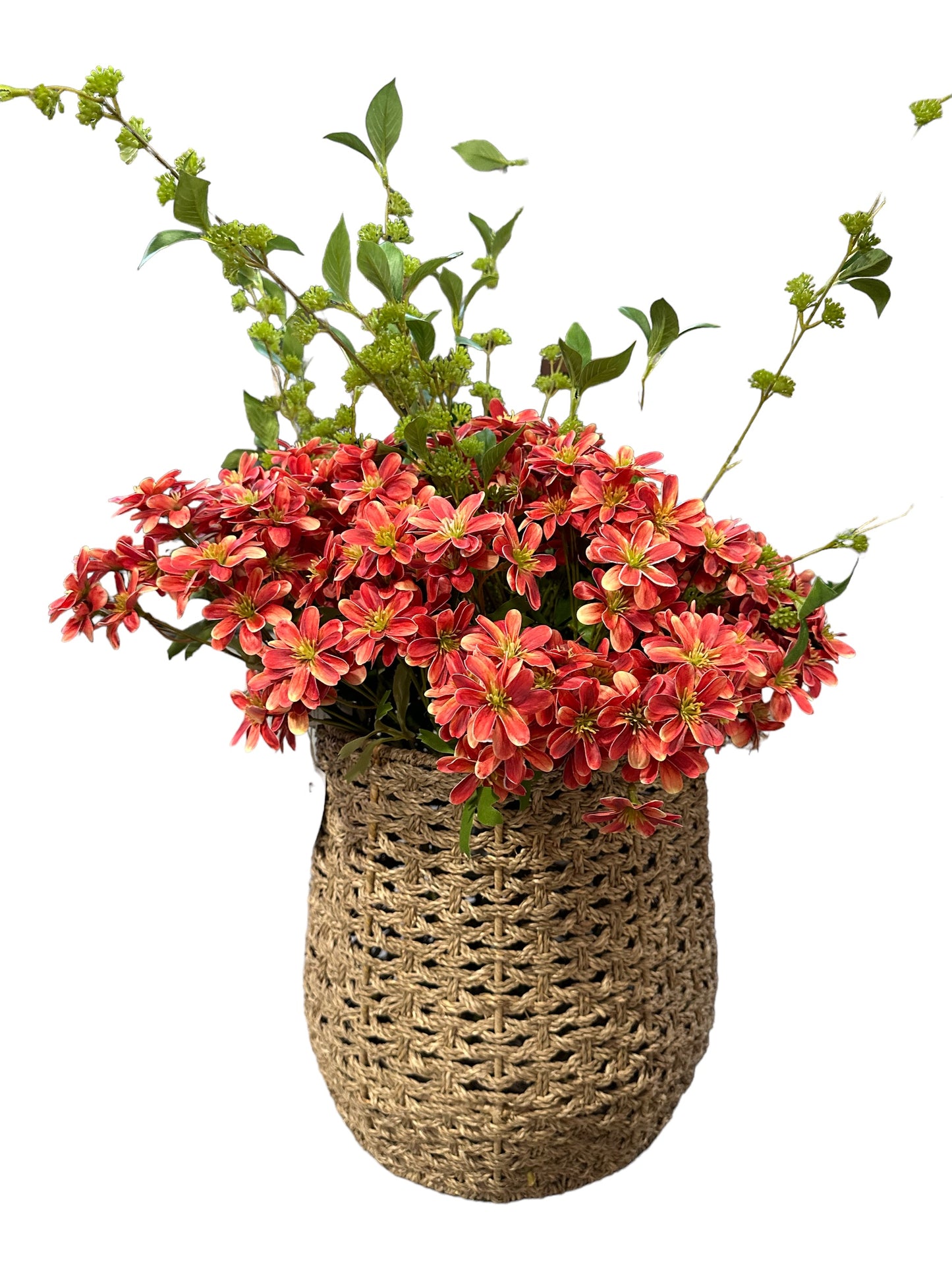 RAZ1900 - Chrysanthemum Spray