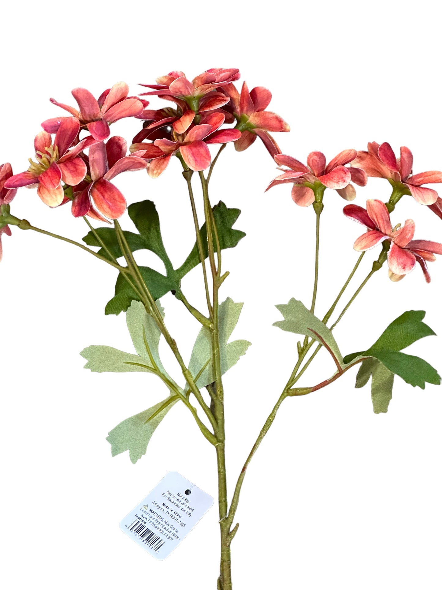RAZ1900 - Chrysanthemum Spray