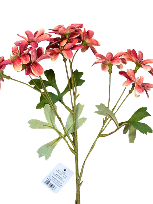 RAZ1900 - Chrysanthemum Spray