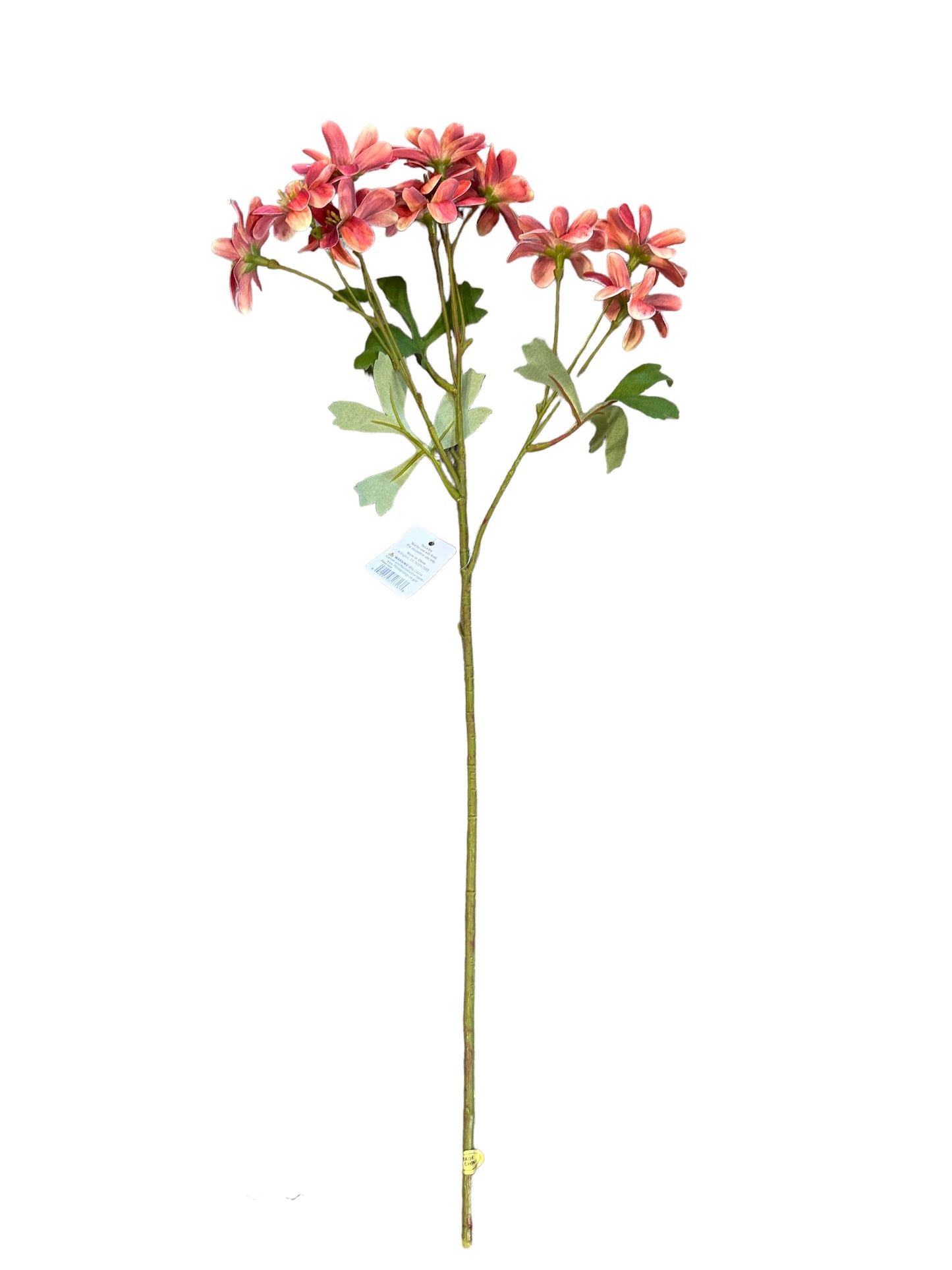 RAZ1900 - Chrysanthemum Spray