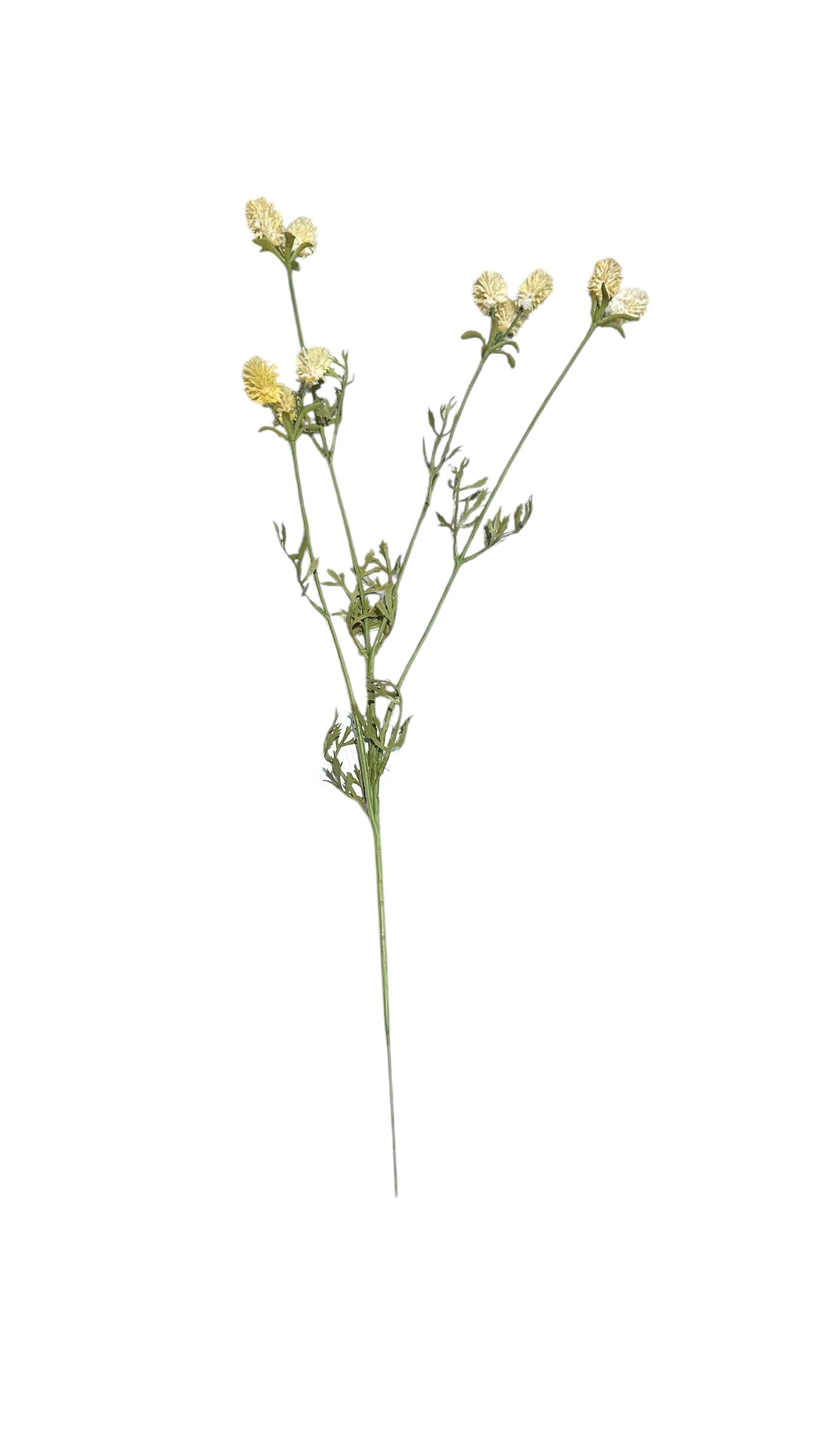 Nos1592- wildflowers / pale yellow