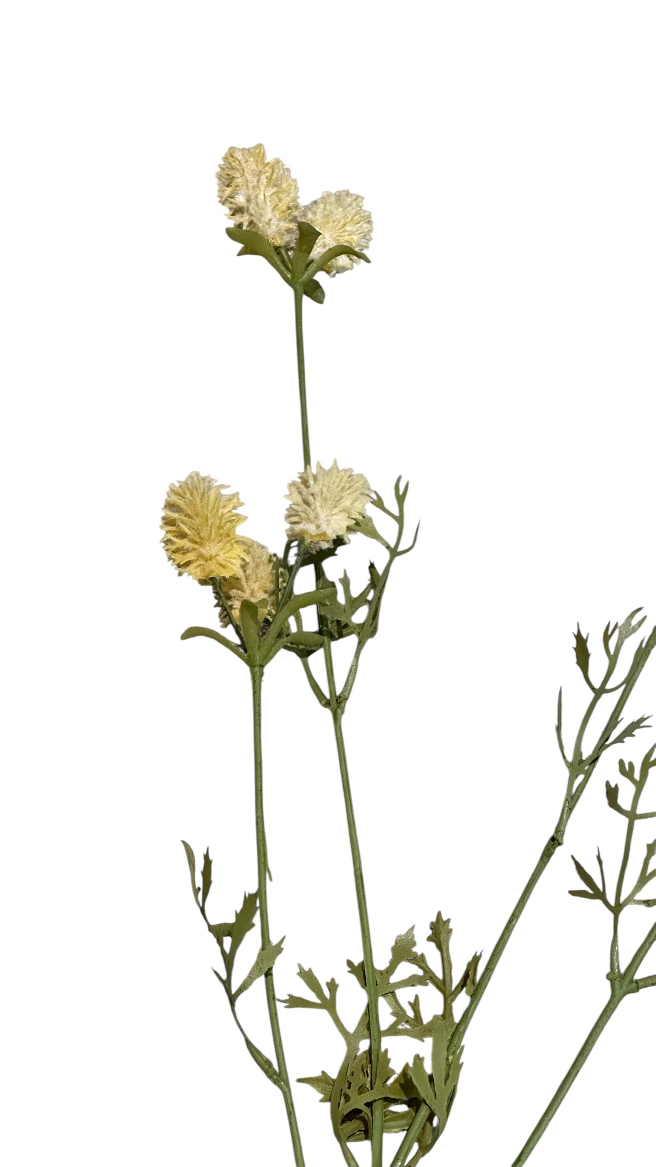 Nos1592- wildflowers / pale yellow
