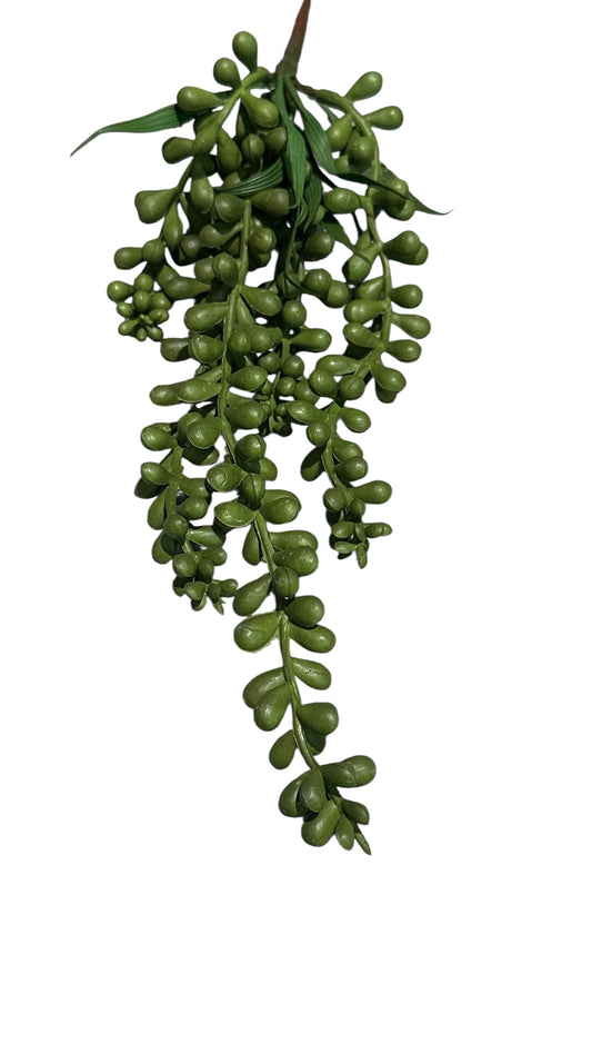 Nos8603-hanging greens