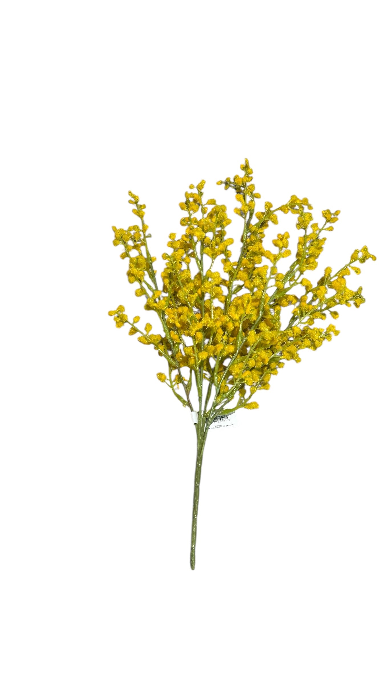 P2695- yellow flower/ mimosa bush