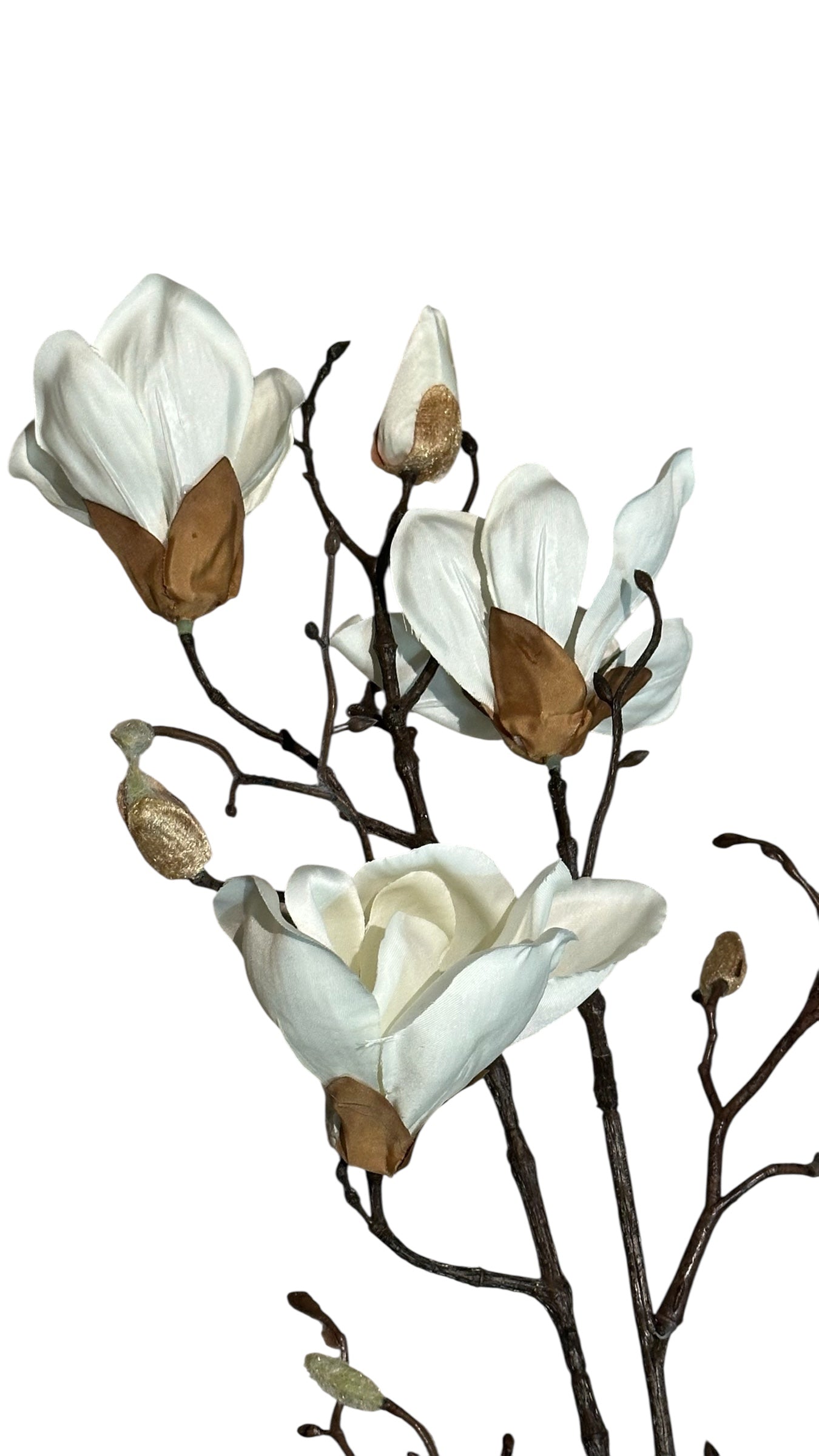 P0403- magnolia spray / white