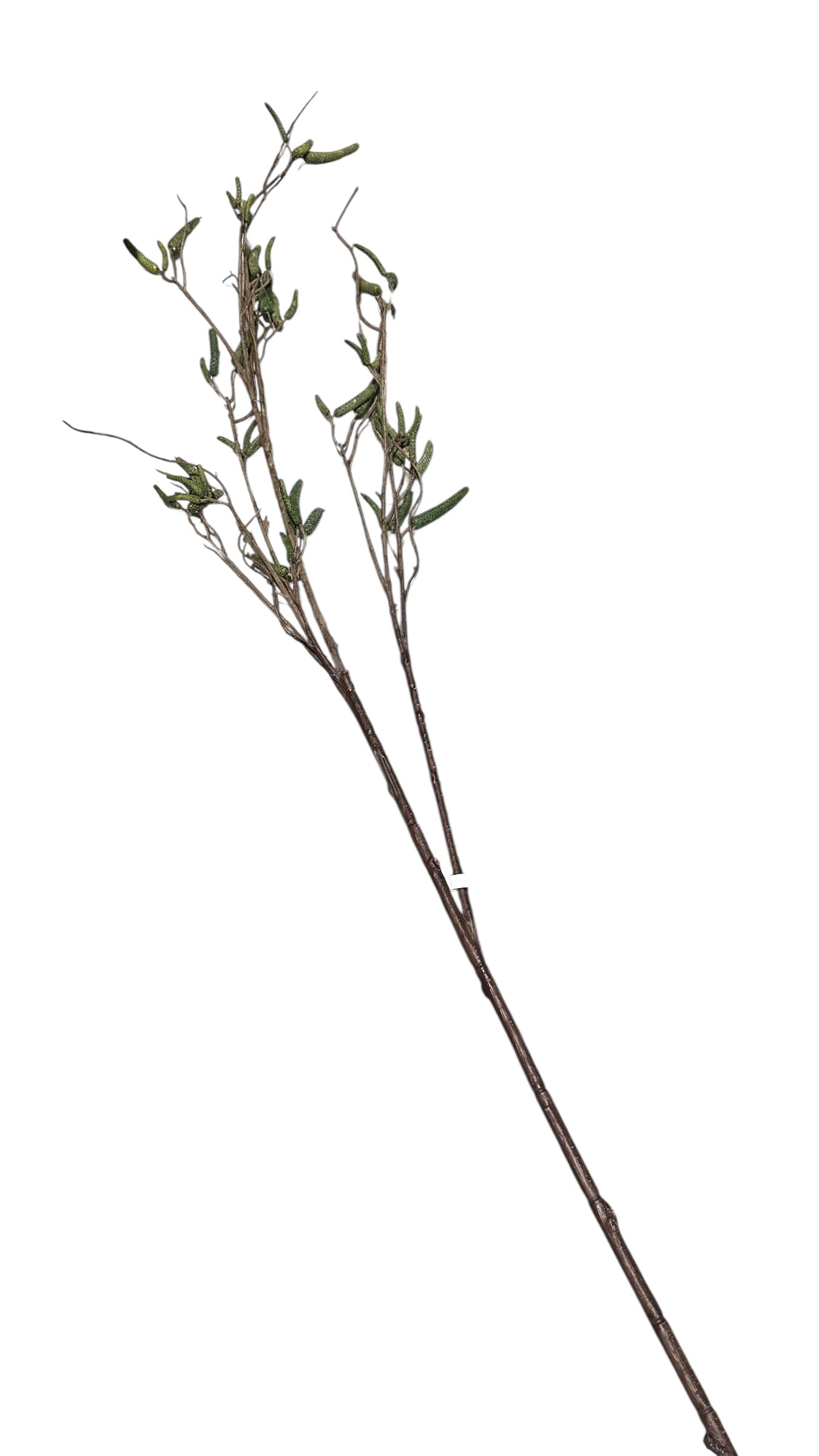 P0331- Leaf Stem / green