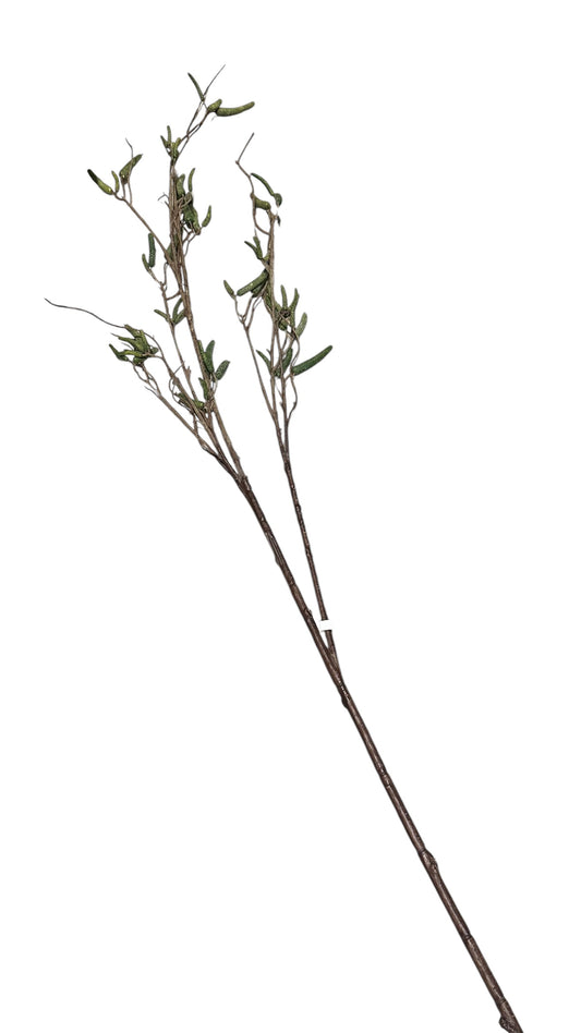 P0331- Leaf Stem / green