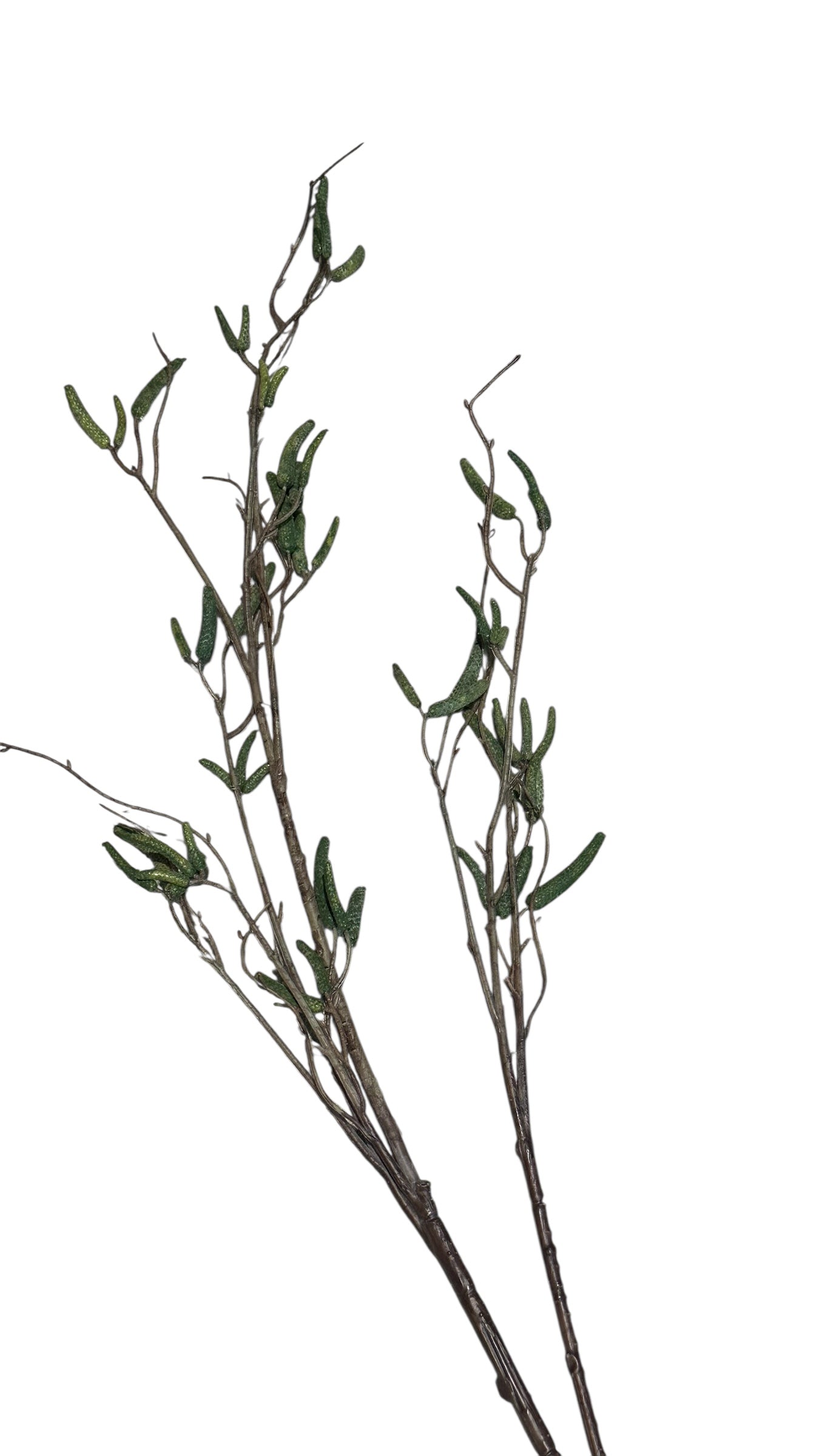 P0331- Leaf Stem / green