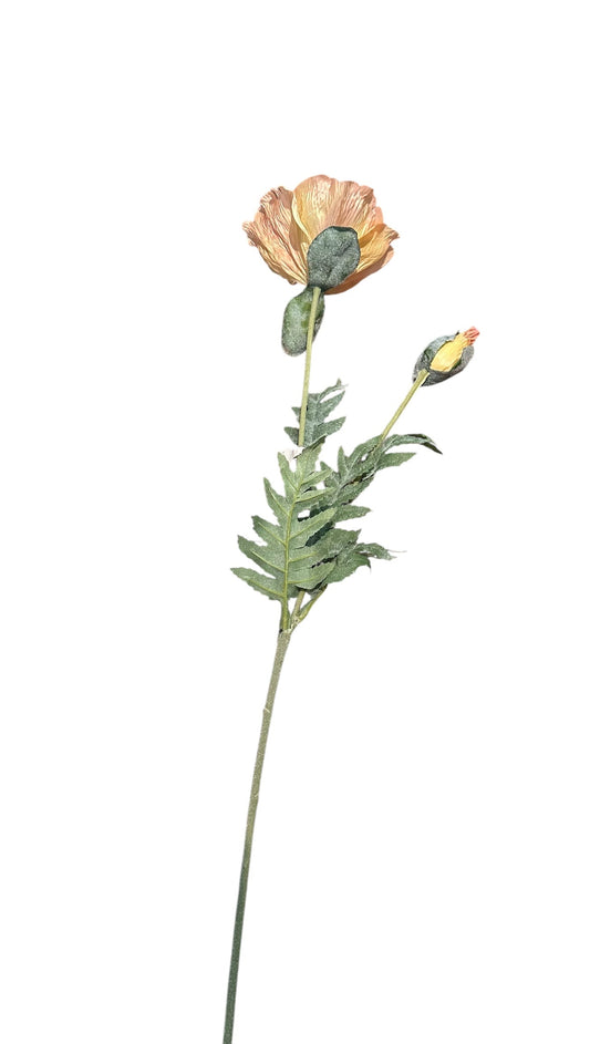 P0409- poppy stem