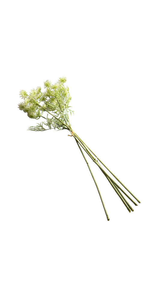 Nos3909- Queen Anne’s Lace bouquet