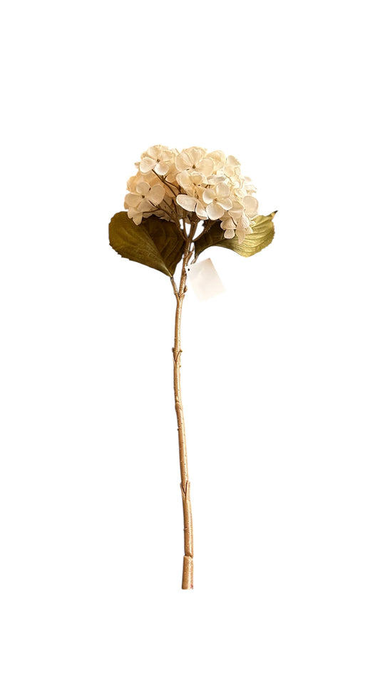 Nos2058- hydrangea branch/ cream