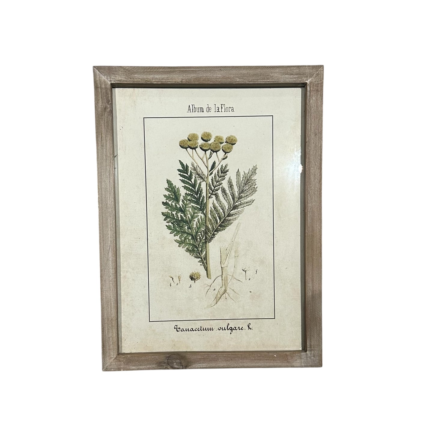 Wall Art Collection / Album de La Flora