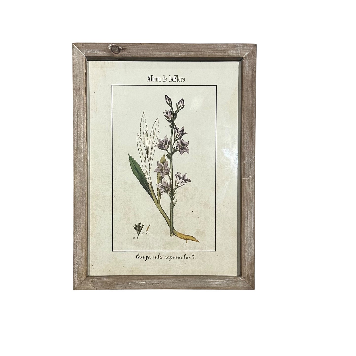 Wall Art Collection / Album de La Flora