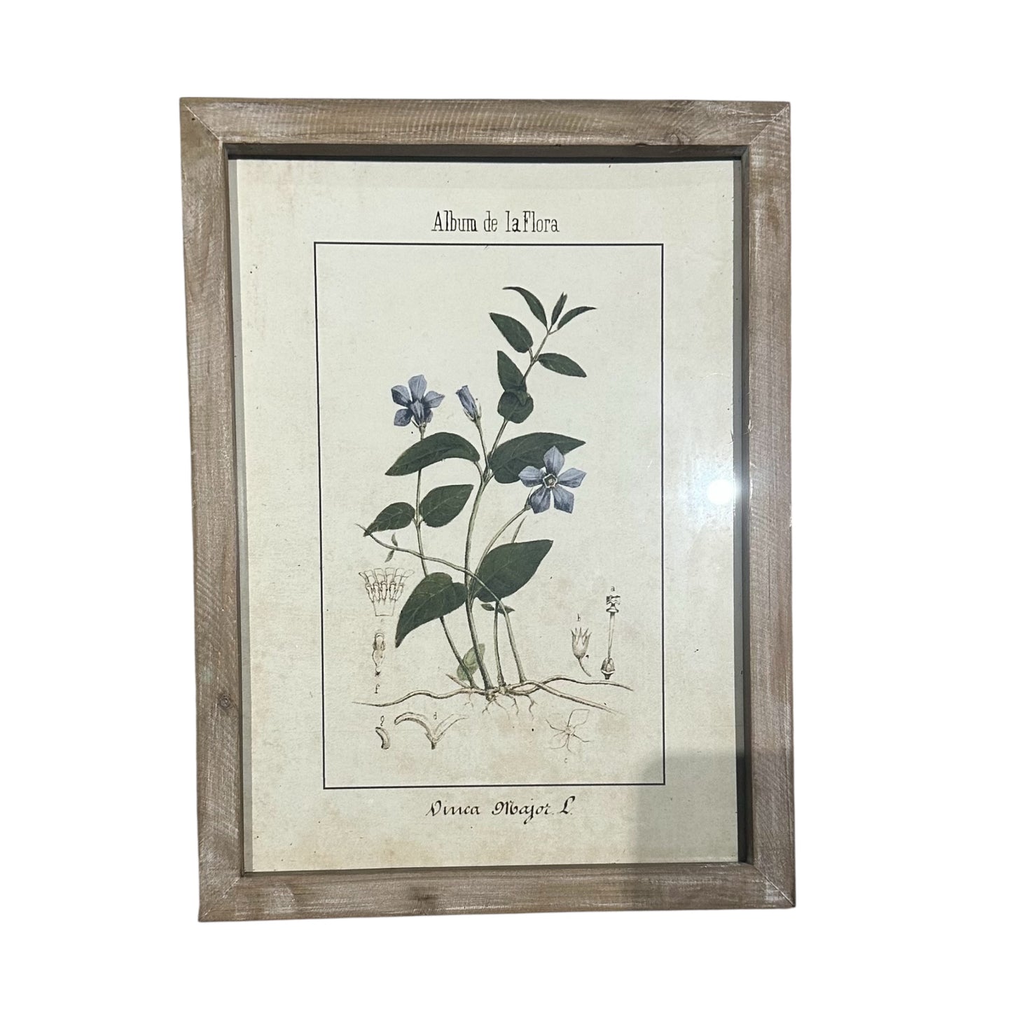 Wall Art Collection / Album de La Flora