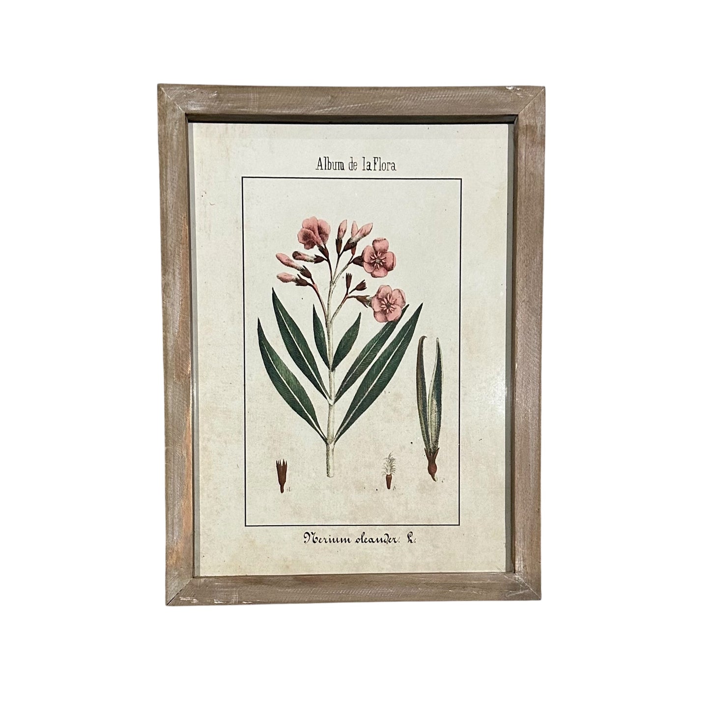 Wall Art Collection / Album de La Flora