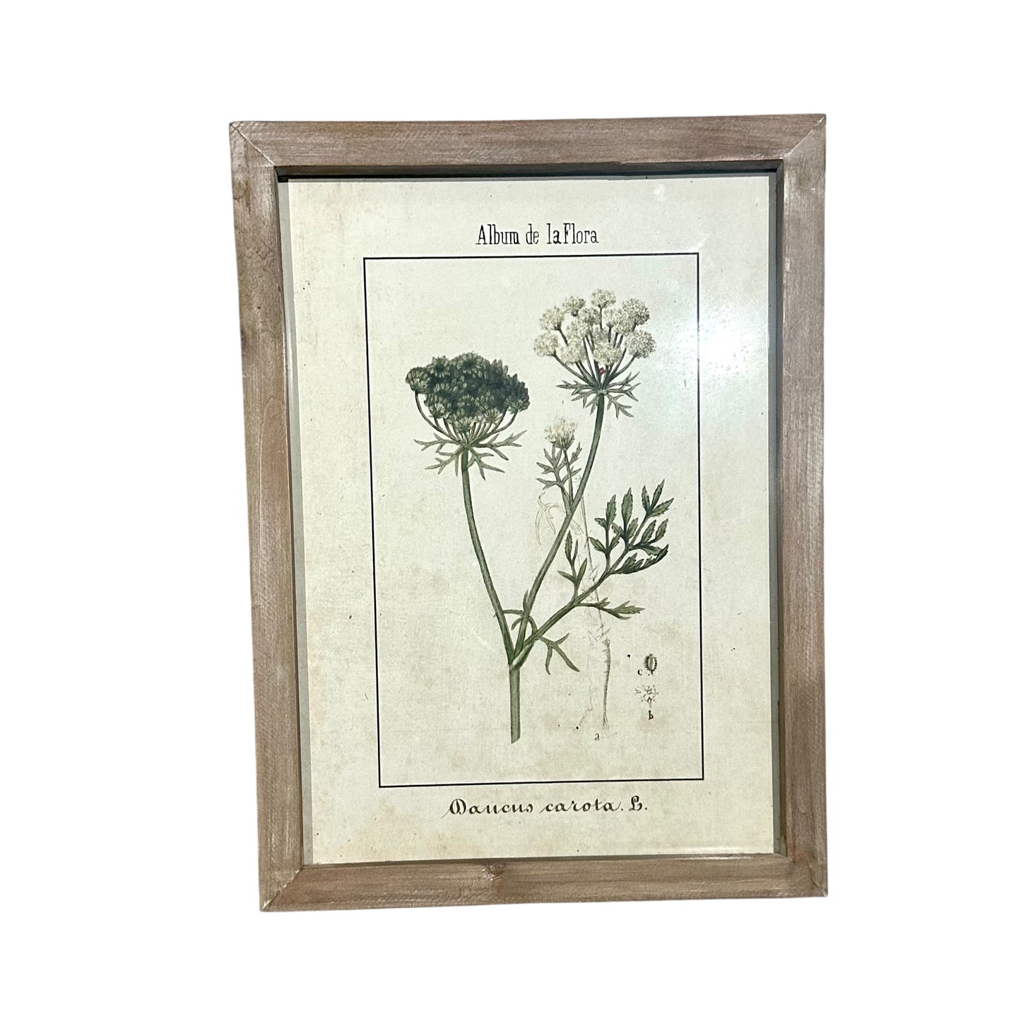 Wall Art Collection / Album de La Flora