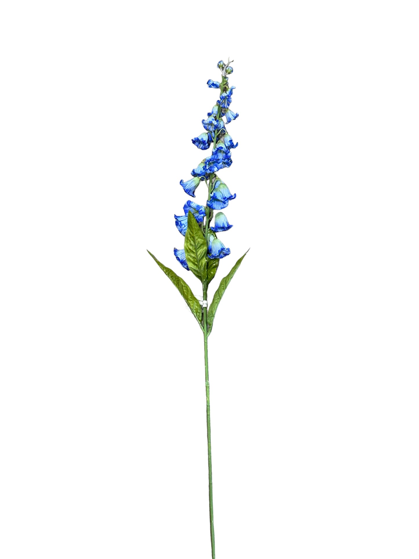 CMC888 -Campanula Spike stem