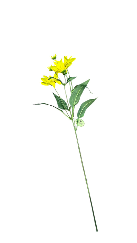 CMC197 mountain daisy / yellow