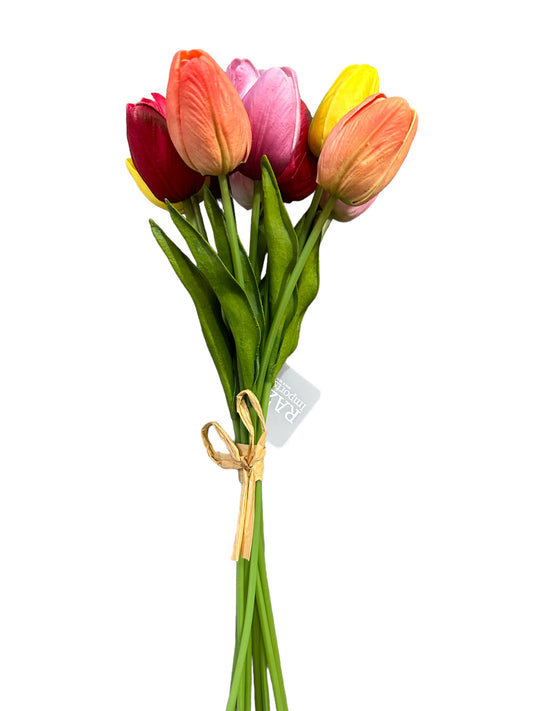 RAZ2202   Tulip Bundle Mixed / Real Touch