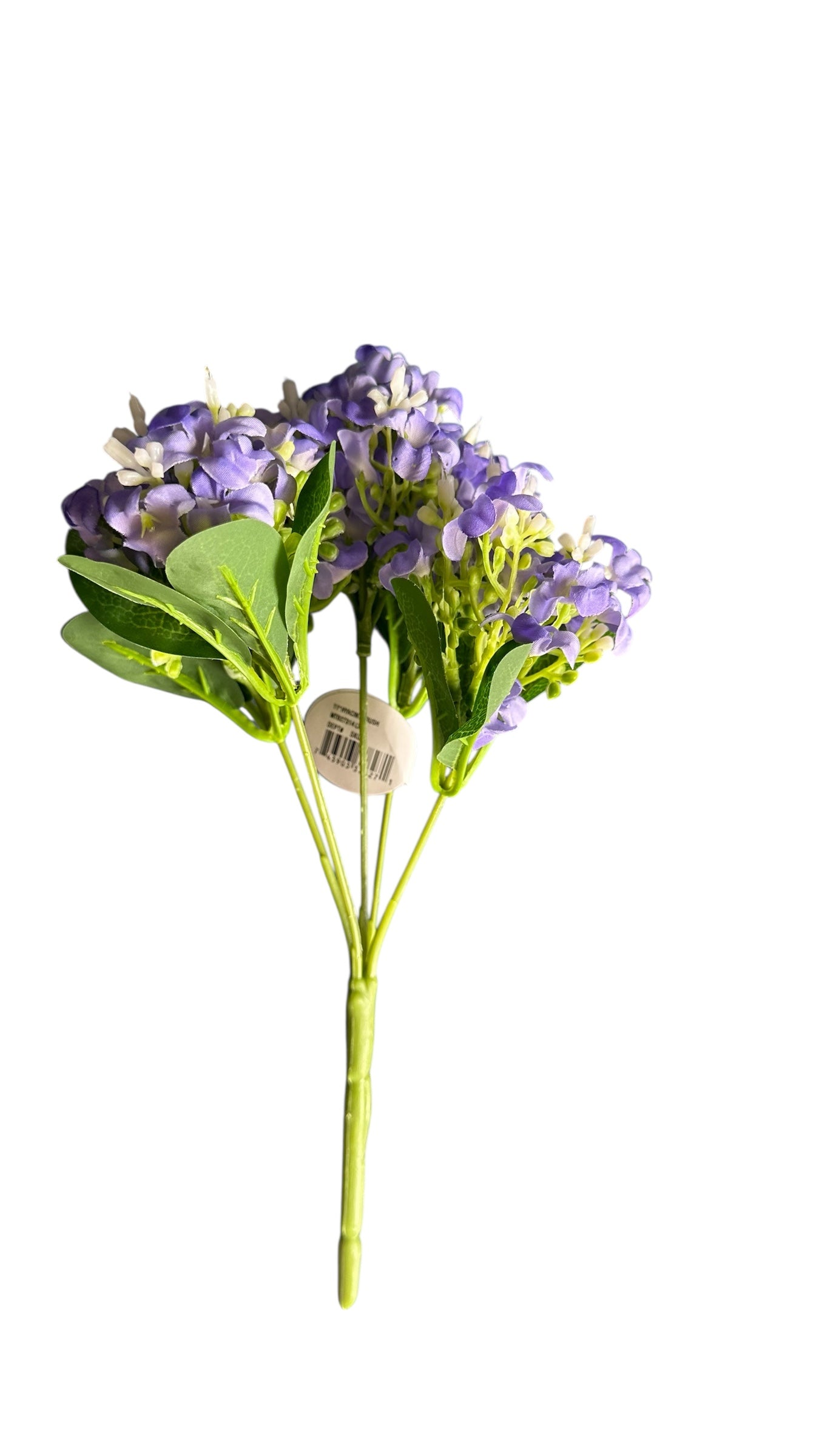 CMC228P  Hyacinth Bush