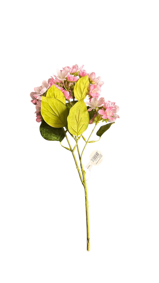 Cmc884bh/ spring blossoms / pink