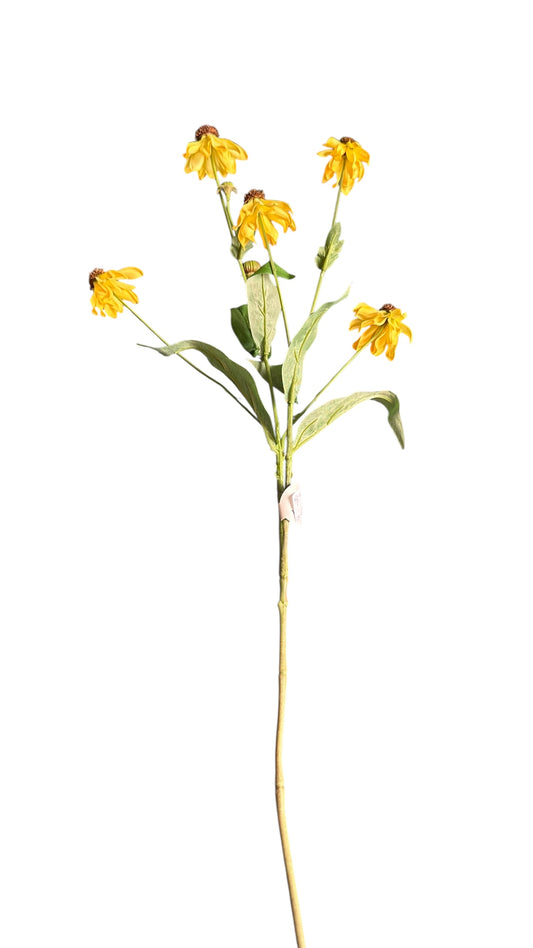 Cmc221/ black eyed Susan spray