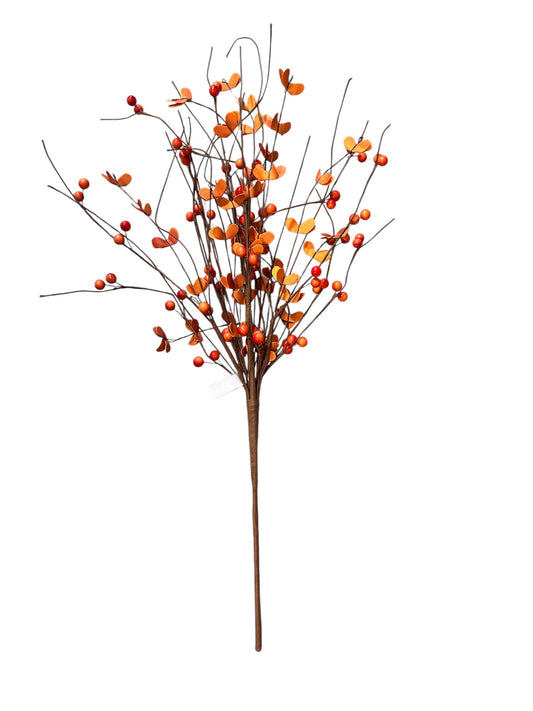 Branch of Orange berries