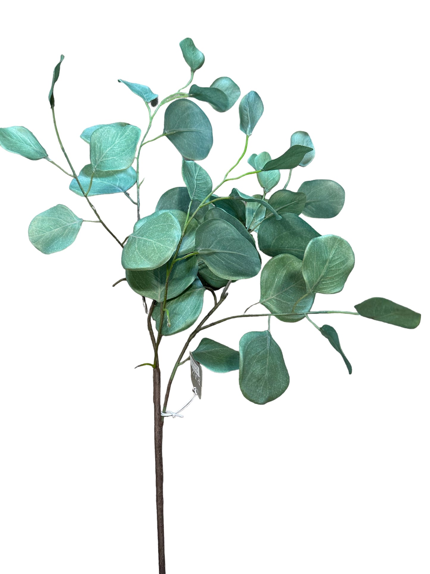 RZ9810 - Eucalyptus Spray