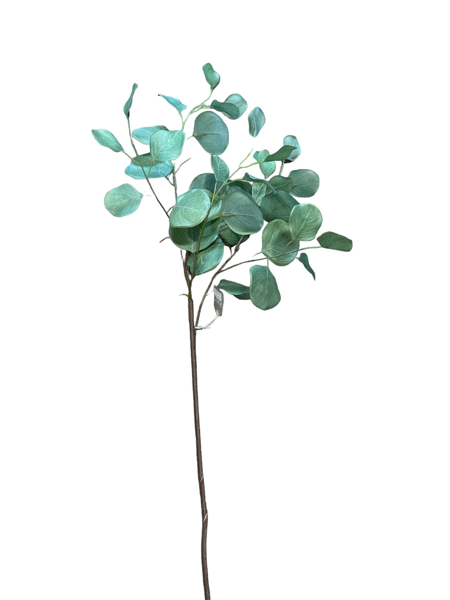 RZ9810 - Eucalyptus Spray