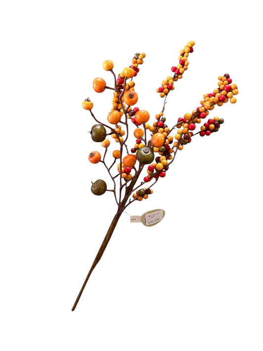 Cmc332-harvest berry pick