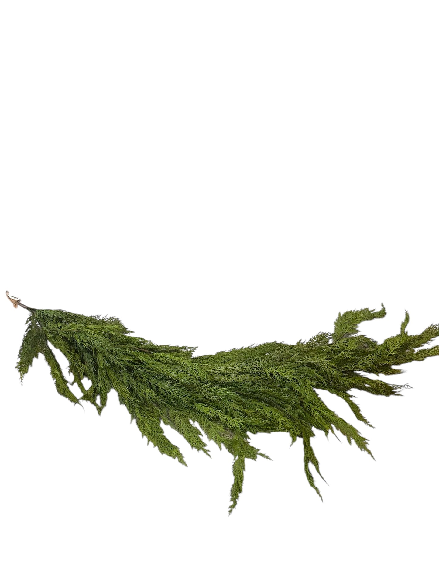 Cmc015-cedar garland