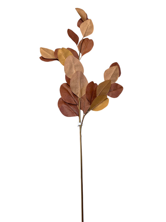 P0376 Eucalyptus / brown