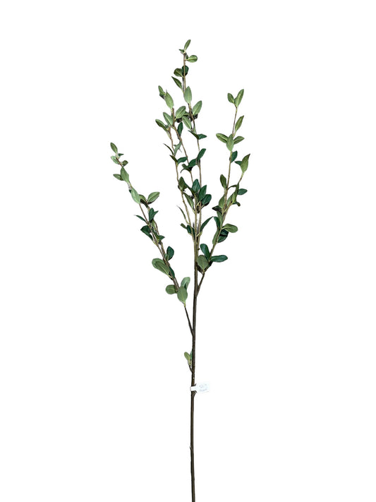 P0268 -Green Stem