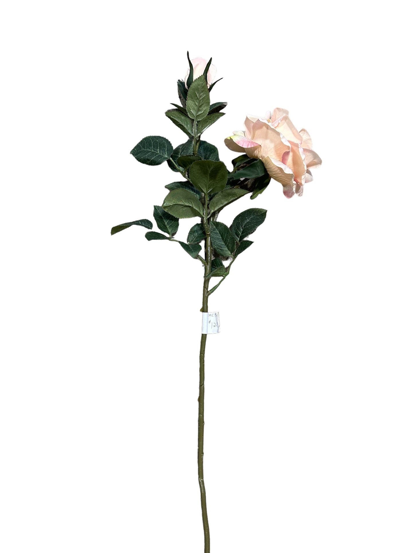 CMC514  Pink Rose