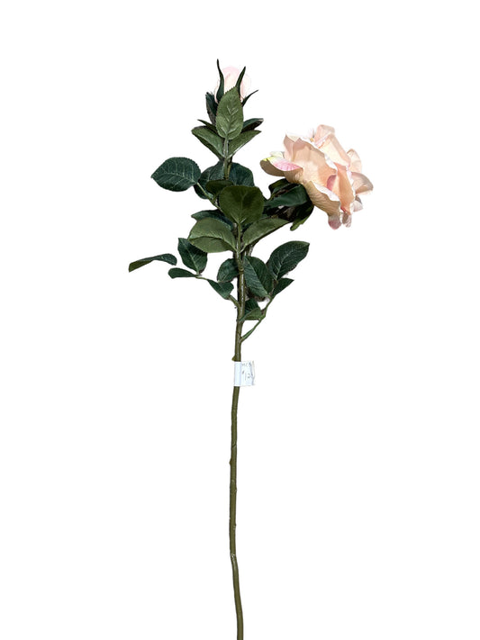 CMC514  Pink Rose