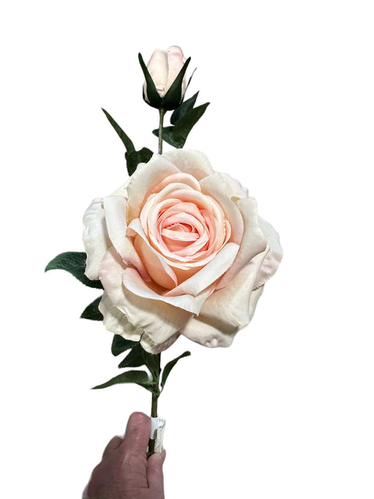 CMC514  Pink Rose